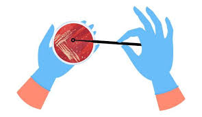 Test Preparation Guidelines